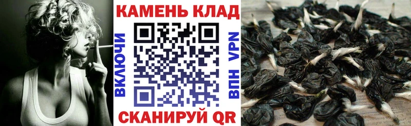KRAKEN   Искитим  ГАШ Premium  где продают  