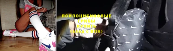 дурь Аркадак