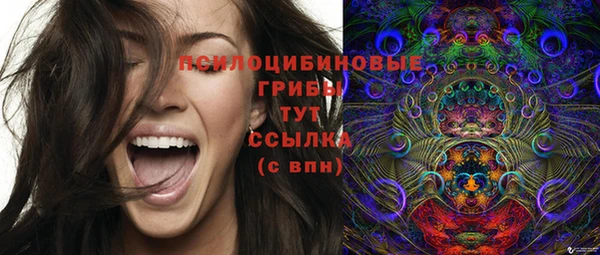 дурь Аркадак