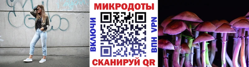 Галлюциногенные грибы прущие грибы  Искитим 