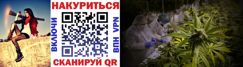 Шишки марихуана гибрид  ссылка на мегу tor  Искитим 